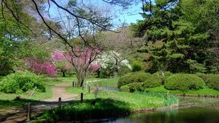 小石川植物園 （東京大学大学院理学系研究科附属植物園）