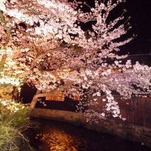 幻想的ともいえる美しさ