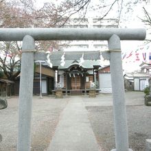 桜の木が境内に