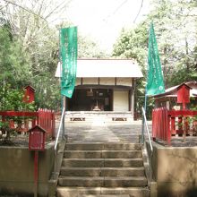 参道からは階段がありますが裏から廻れます