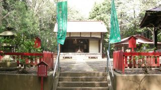 まだ雑木林の残る辺りにひっそりと