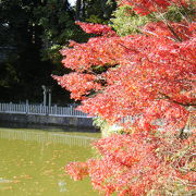 宍粟市最上山公園の　紅葉まつり