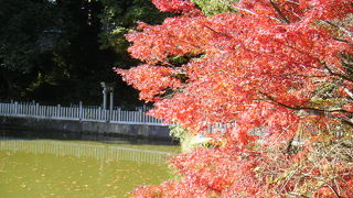 宍粟市最上山公園の　紅葉まつり