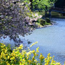 気持ちのいい水辺　上の池　＠日本庭園