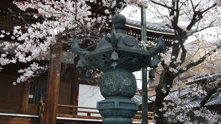 マニアの中では、隠れた桜の名所として、ちょっと知られたお寺です