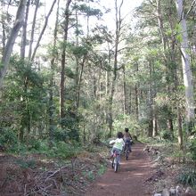 子供たちの格好の遊び場