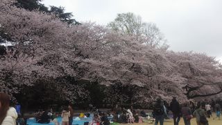 こんなに広いところが有るなんて