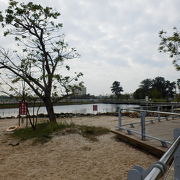 白い砂浜のある公園