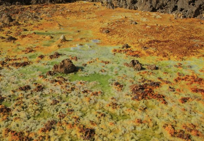 ダナキル砂漠 クチコミ アクセス 営業時間 その他の観光地 フォートラベル ダナキル砂漠 クチコミ アクセス 営業時間 その他の観光地 フォートラベル
