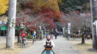 紅葉が綺麗でした