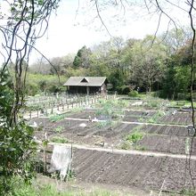 市民農園が＾＾