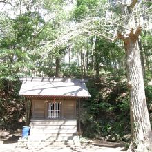 小さな鎮守さま