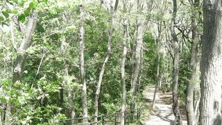 自然が残されています。