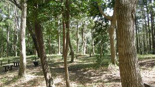 人も少なく、ここが横浜？