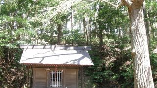 南本宿市民の森のとっつきに