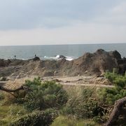 新鮮！！海がよく見えます。