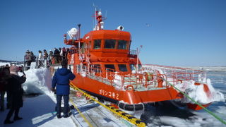 流氷が薄かったのが残念