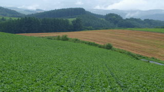 美しい絶景が広がる