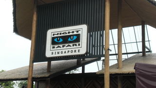 よく見えなかった＞＜