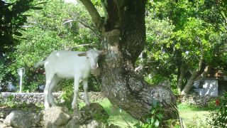 人の姿がなく‥