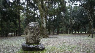 見ごろは梅の季節だけではない一角