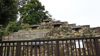 隣の駐車場からでも、全体がよく見えました