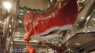 米米CLUB石井竜也がデザインしたのだそうですが赤い親子のクジラが圧巻