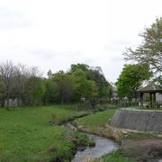 横浜とは思えない小川の散歩道