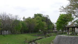 横浜とは思えない小川の散歩道