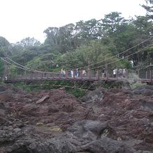 海岸からの吊り橋の眺め