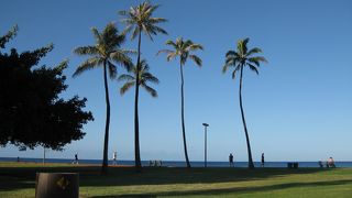 朝の散歩にいいです