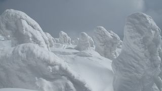 樹氷の奏で　八甲田山