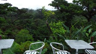 大きな窓から緑と空しか見えない