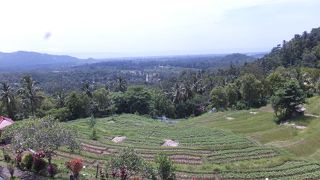 ちょっと立ち寄るのにいいかも