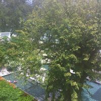 波音と木々の音に囲まれて