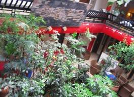 ドラゴン タウン ゲスト ハウス (成都龍堂国際青年旅舍) 写真