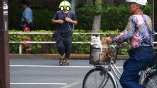 公園内にも観光スポットがたくさん！