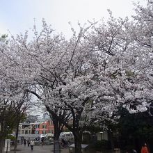 バス通り方面、左の白い建物はトイレです