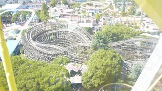 思っていたより楽しめた