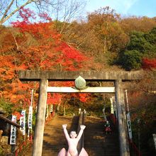 桃太郎神社