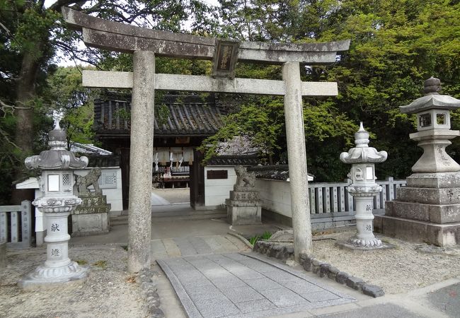 三間社流造の本殿の神社