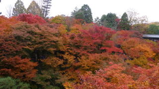 紅葉が素晴らしい