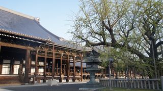 朝早くから開いています