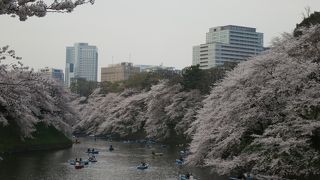 千鳥ヶ淵公園 