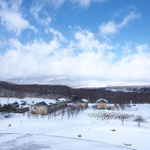 屋上から八ヶ岳が見えます