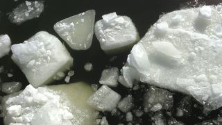 お店よりも流氷が見れてよかったです。