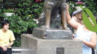 待ち合わせの所に決まってる