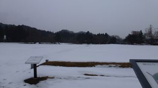 観自在王院跡 --- 世界遺産「平泉 - 仏国土（浄土）を表す建築・庭園及び考古学的遺跡群」の構成資産のひとつなのですが、雪の時は・・・。