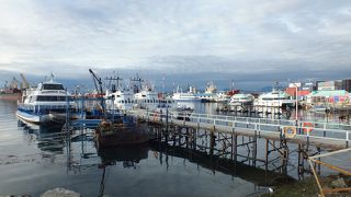 ビーグル水道クルーズの小さなブースがたくさんあります。