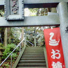 池のそばの神社にお種さんの幟が出ています。